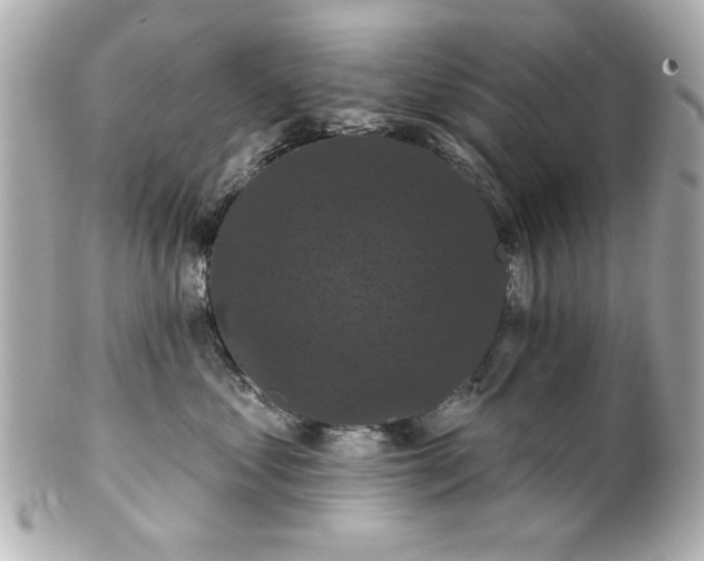 X0000100890621200807011158