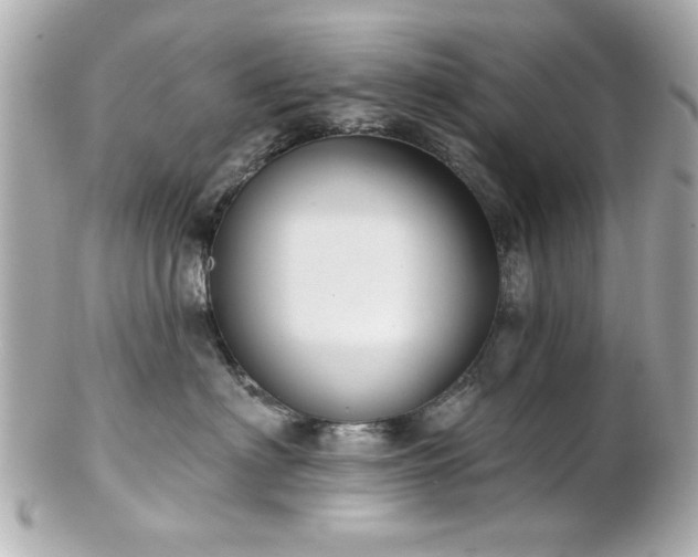 X0000100890622200807011158