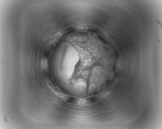 X0000100890623200807011158