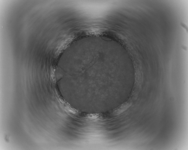 X0000100890624200807011158