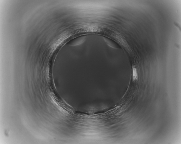 X0000100890627200807011157