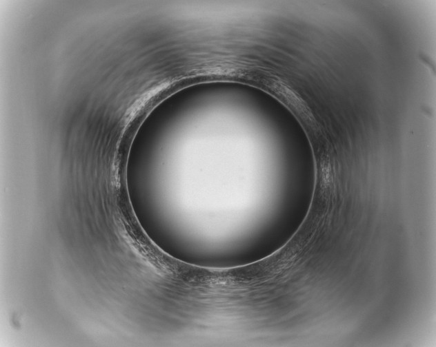 X0000100890628200807011157