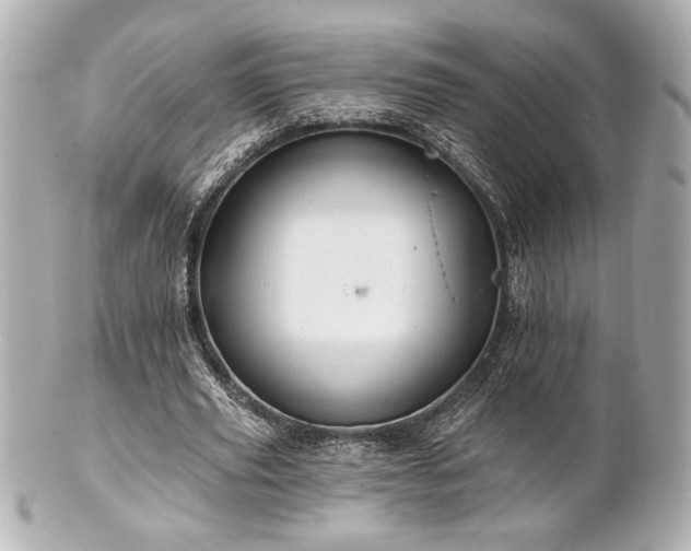 X0000100890629200807011157