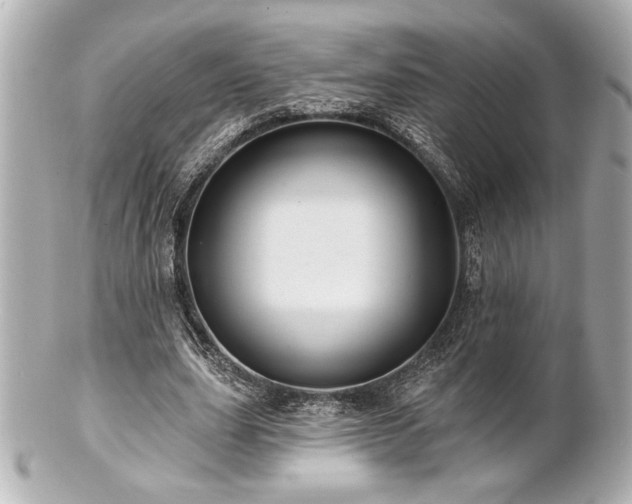 X0000100890631200807011157