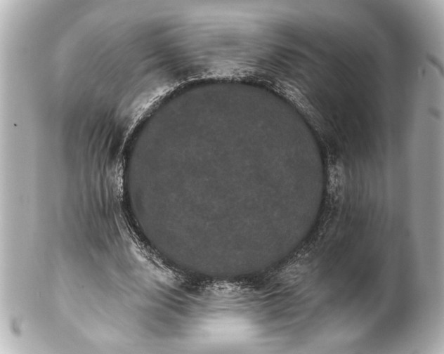 X0000100890632200807011157
