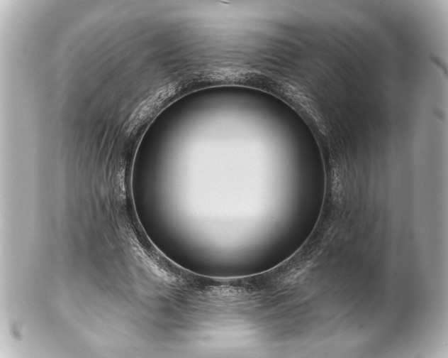 X0000100890633200807011157