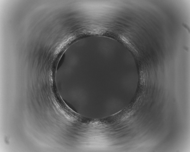 X0000100890634200807011157