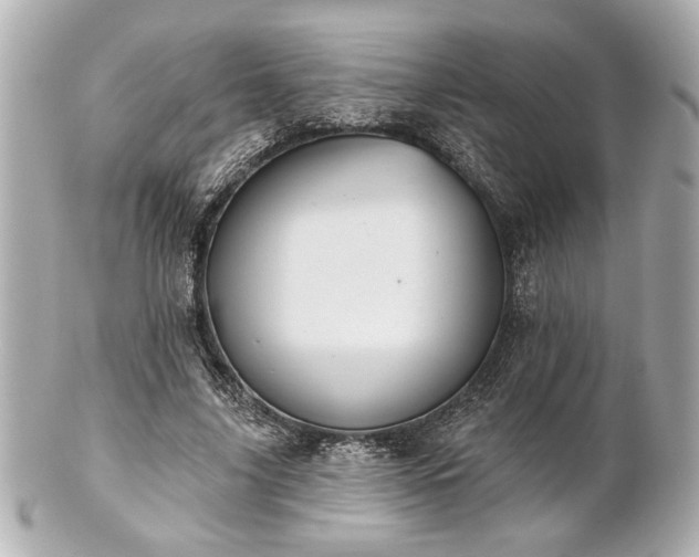 X0000100890635200807011158