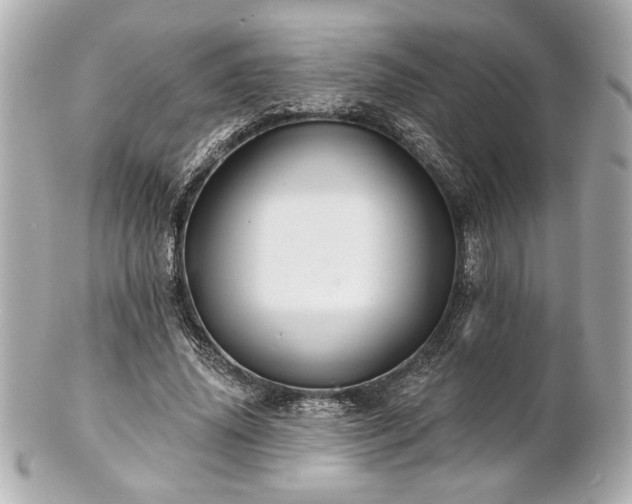 X0000100890636200807011158