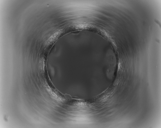 X0000100890637200807011158