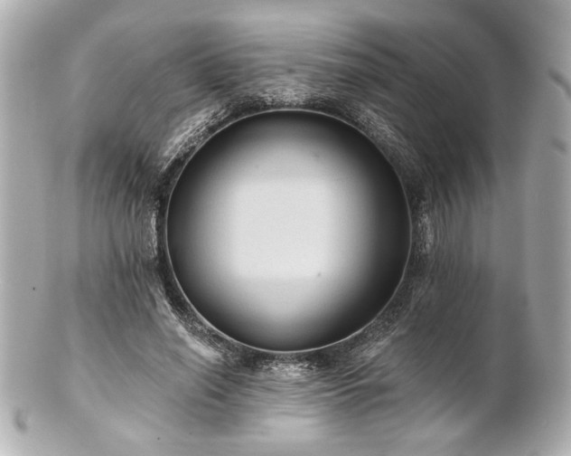 X0000100890638200807011158