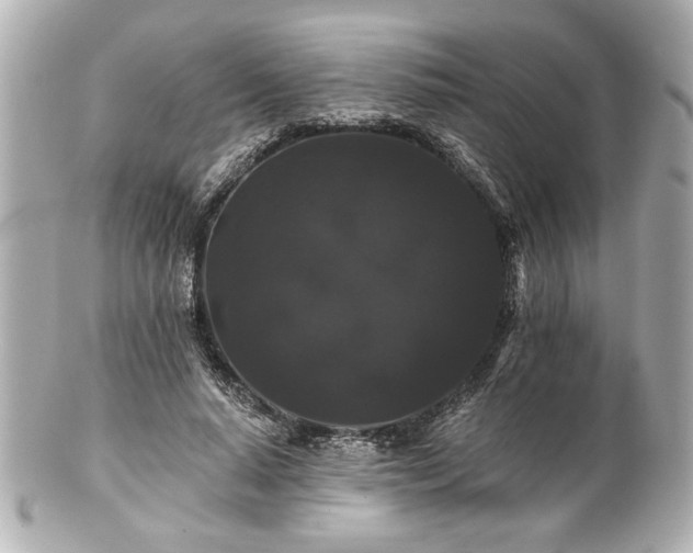 X0000100890640200807011158