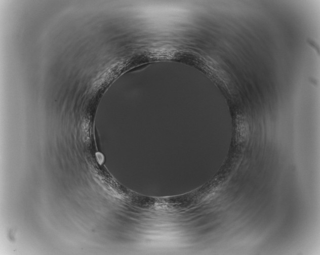 X0000100890641200807011158