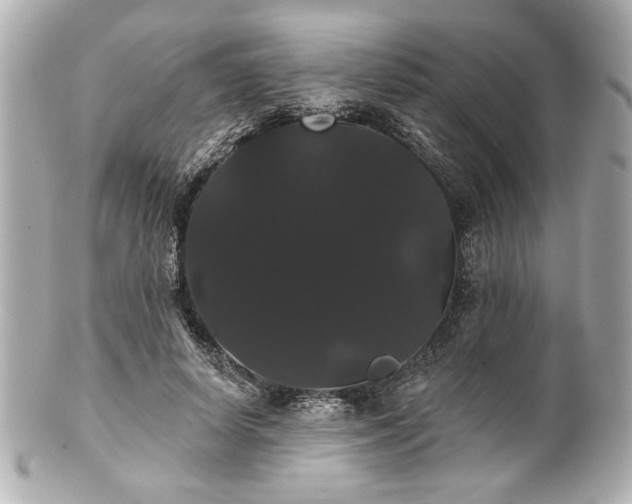 X0000100890642200807011158