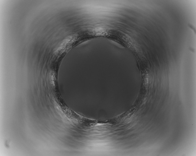 X0000100890643200807011158