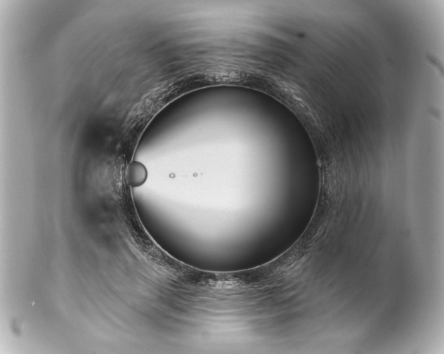 X0000100890645200807011158