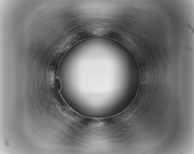 X0000100890646200807011158
