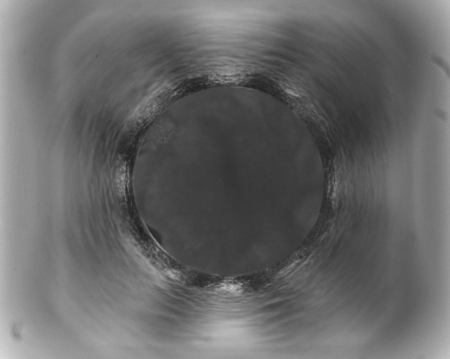 X0000100890647200807011158