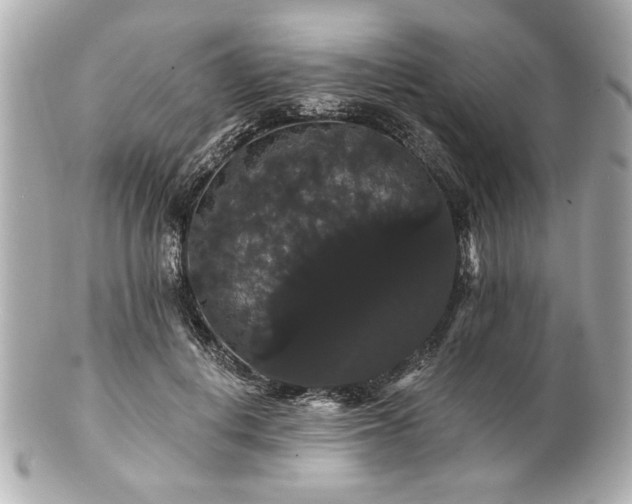X0000100890648200807011158