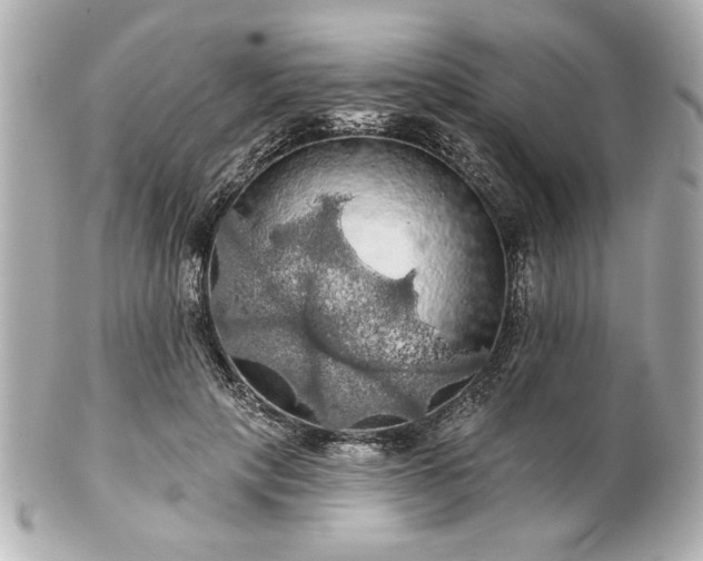 X0000100890649200807011158