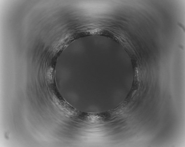 X0000100890650200807011158
