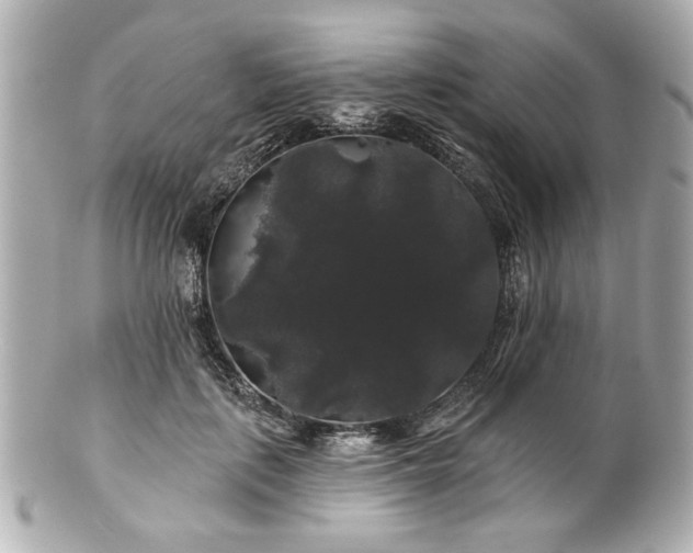 X0000100890651200807011158