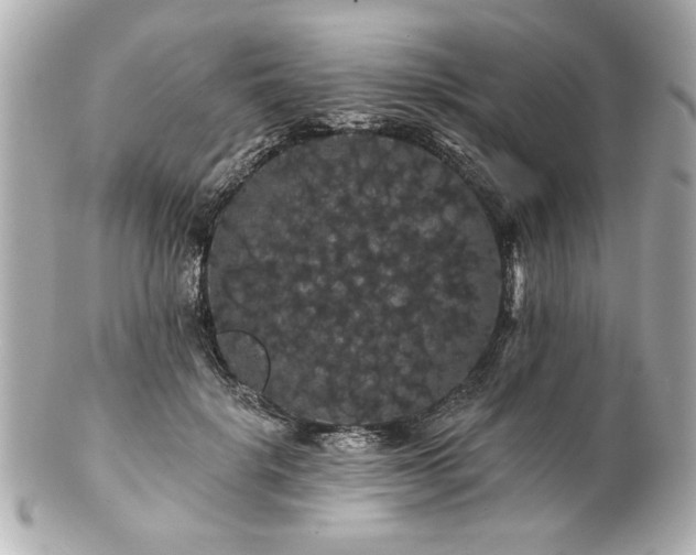 X0000100890652200807011158