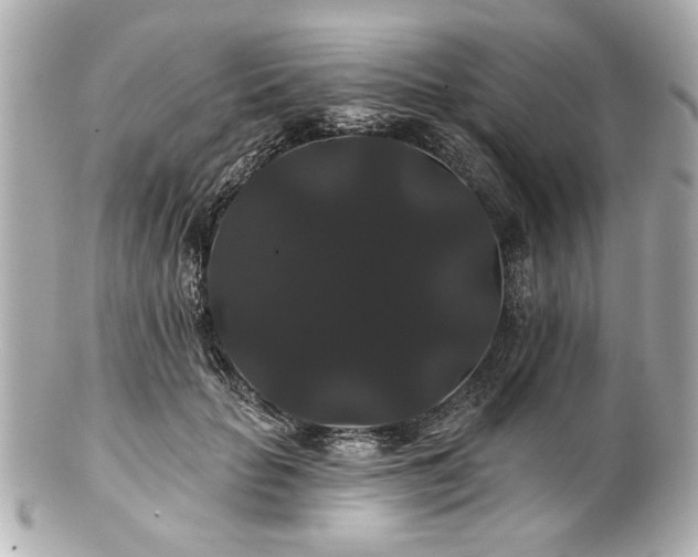 X0000100890653200807011158