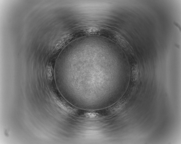 X0000100890654200807011158