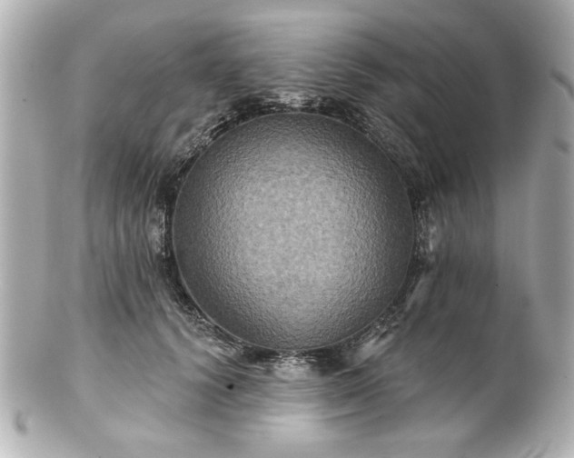 X0000100890656200807011158