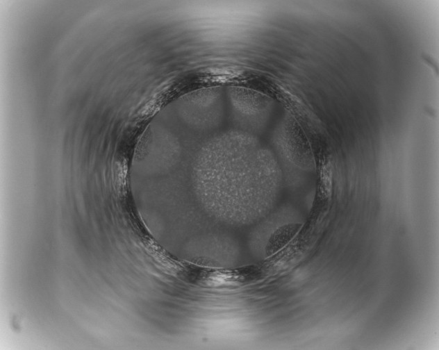 X0000100890657200807011158