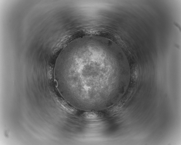 X0000100890658200807011158