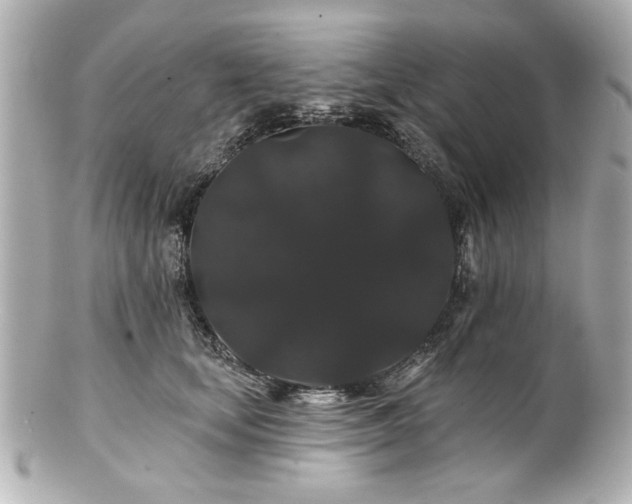 X0000100890659200807011158