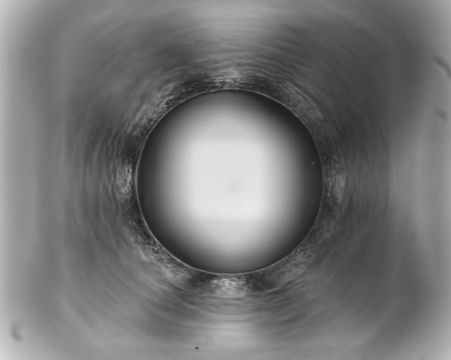 X0000100890660200807011158
