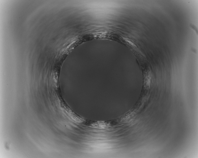 X0000100890661200807011158