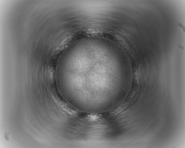 X0000100890662200807011158