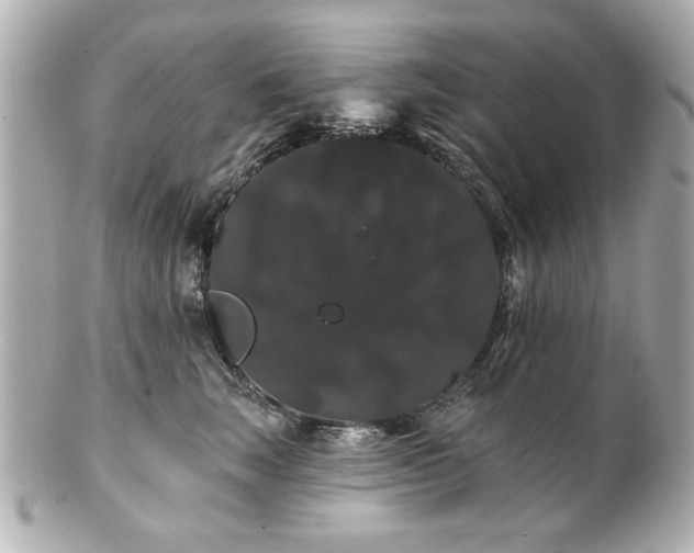X0000100890663200807011158