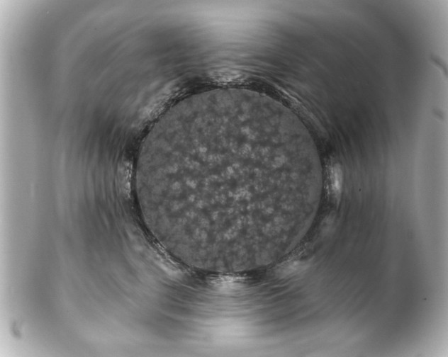 X0000100890664200807011158
