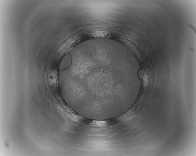 X0000100890665200807011158