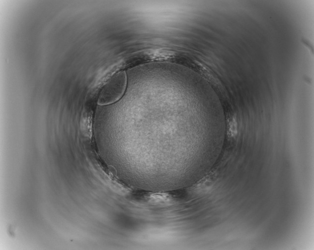 X0000100890666200807011158