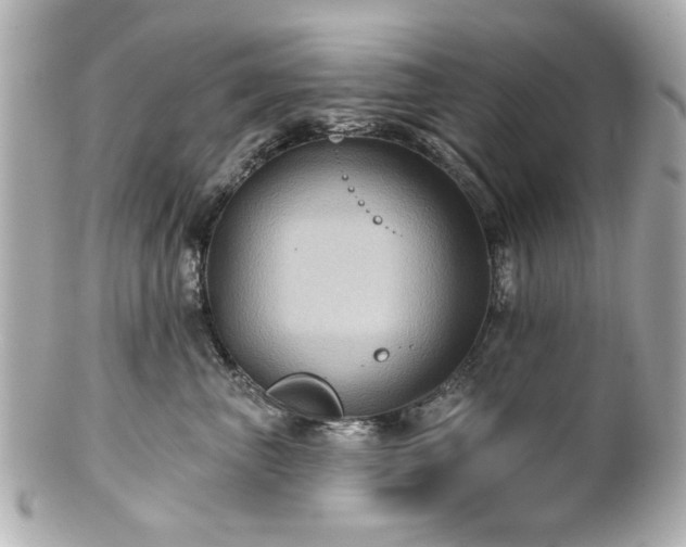 X0000100890667200807011158