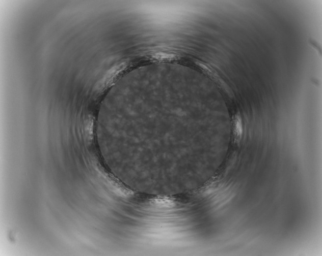 X0000100890668200807011158