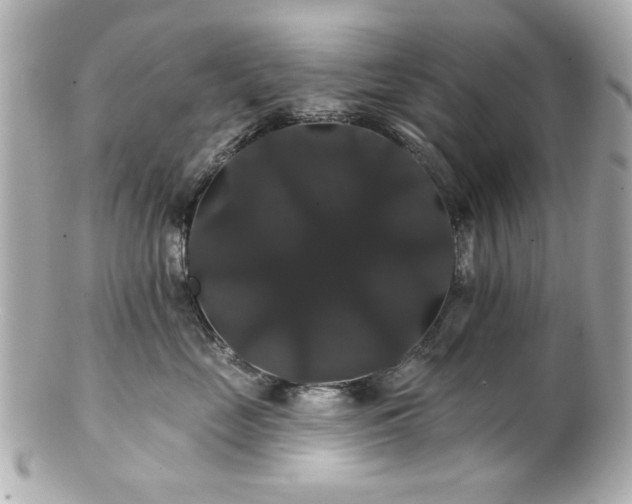 X0000100890669200807011158