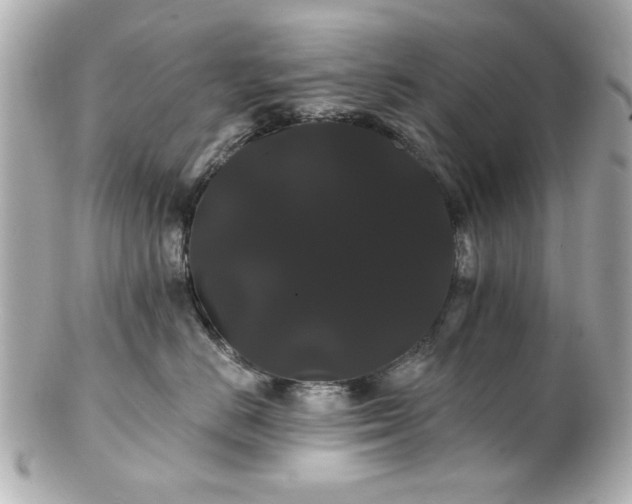 X0000100890670200807011158
