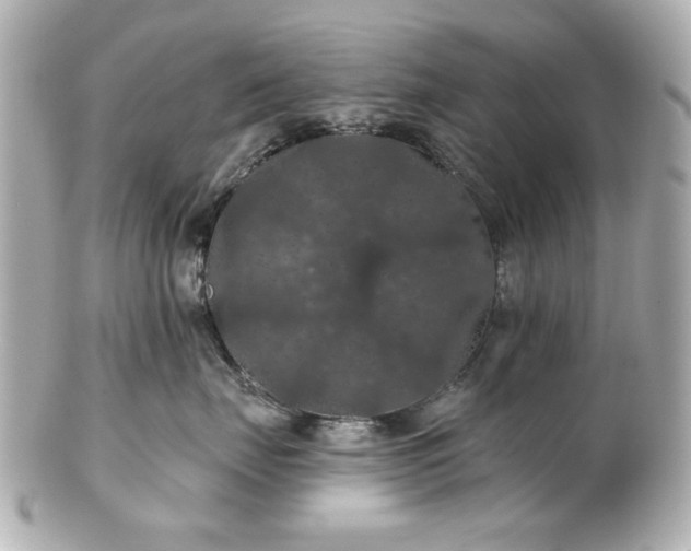 X0000100890671200807011158