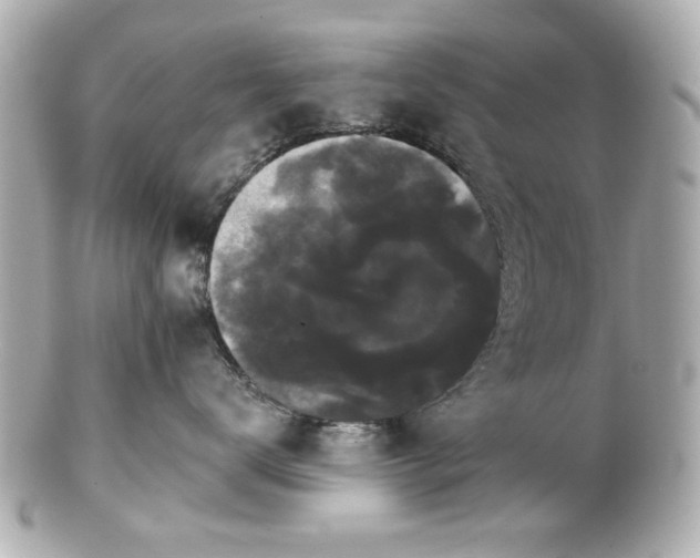 X0000100890672200807011158