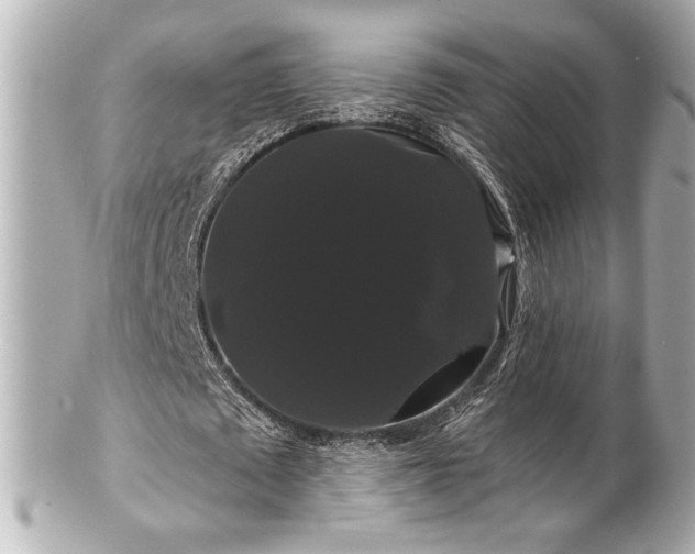 X0000100890673200807011157