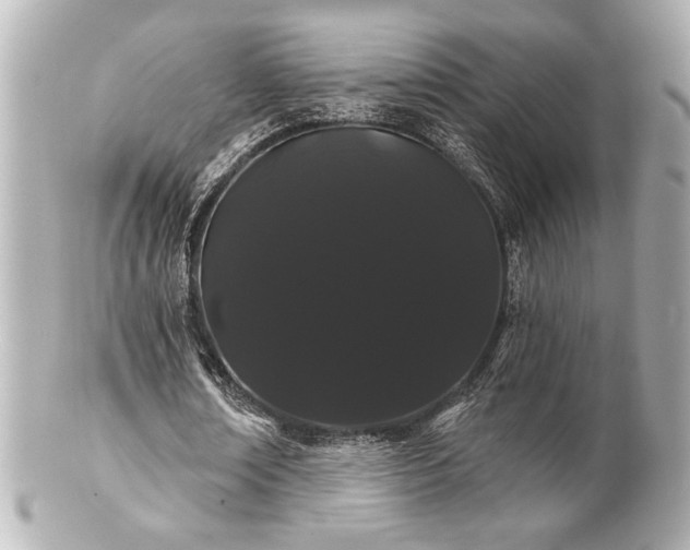X0000100890674200807011157