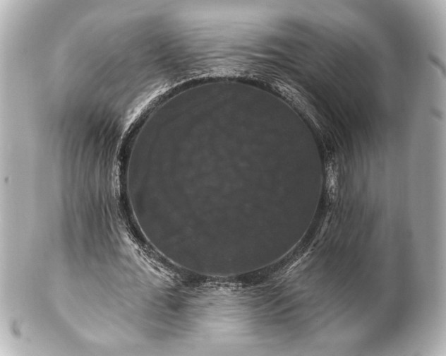X0000100890676200807011157