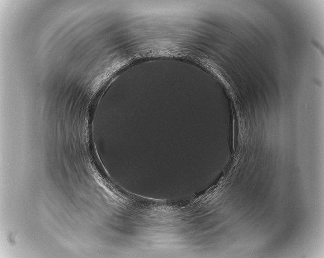 X0000100890677200807011157